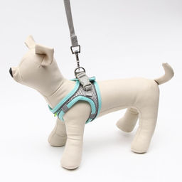 Комплект с мягкой шлейкой, размер XXS, поводок 150 х 1,5 см, ОГ 28-30 см, ОШ 24-26 см, бирюз - Пижон фото 2