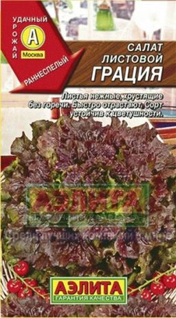 Салат Грация листовой