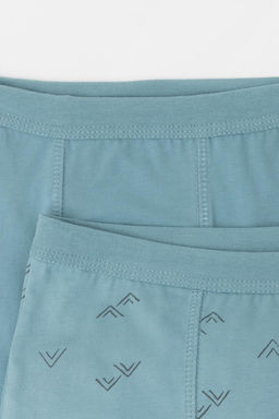 К 1980-2уп/синий дым,снежные горы трусы для мал - Crockid фото 3