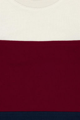 U. S. Polo Assn / Детский темно-синий свитшот с круглым вырезом - U.s. polo assn фото 7