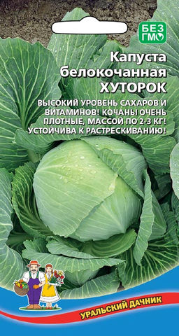 Капуста ХУТОРОК  Высокий уровень сахаров и витаминов! Кочаны очень плотные! Не трескается!