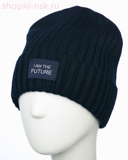 117/FL SHM Колпак мужской флис (58-60)