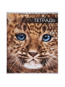 Комплект тетрадей из 4 штук, 48 листов в линейку «Дикие кошки», серые листы
