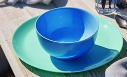 Тарелка обеденная ДИВАЛИ ЛАЙТ ТЮРКУАЗ 25см - Luminarc фото 3