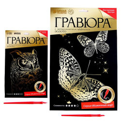 Набор гравюр Сова и бабочки