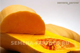 Тыква Матильда - Партнер фото 6