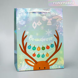 Пакет голографический Волшебного, MS 18 х 23 х 10 см