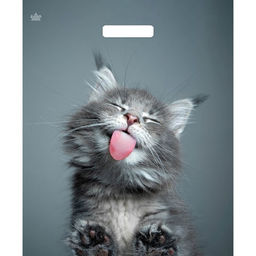 Цена за 50 шт. Пакет «Кот», полиэтиленовый, с вырубной ручкой, 38×45 см, 60 мкм