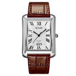 Часы наручные Skmei мужские 2575silver-brown