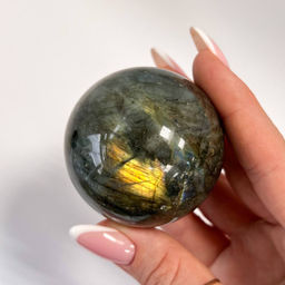 Шар из Лабрадора на подставке