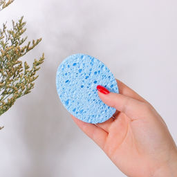 Цена за 3 шт. Спонж для умывания «Овал малый», 8,5 × 6,5 см, цвет МИКС