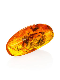 Крупный слоистый кусочек янтаря с уникальным инклюзом