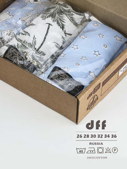 Комплект трусов для мальчика 3 шт. dff Тр 3000/2,7,9 Размер 36