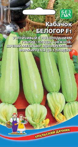 Кабачок БЕЛОГОР F1  Устойчив к похолоданиям! Плоды с нежной, сочной мякотью! Одновременно формируется до 5 плодов!