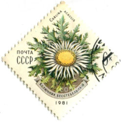 Марка Колючник бесстебельный 1981 год