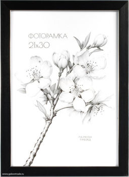 Фоторамка 21х30 / KS1912-3 /уп10,ф