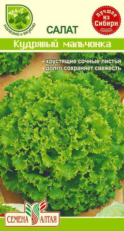 Салат листовой Кудрявый Мальчонка 0,5г (Семена Алтая)