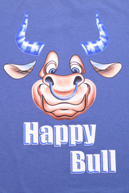 Пижама детская 7-273 (синий) Бык