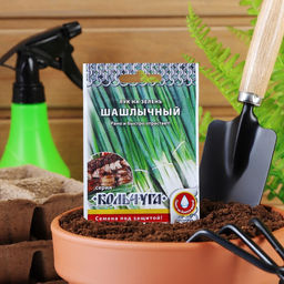 Цена за 4 шт. Семена Лук на зелень "Шашлычный" серия Кольчуга, 1 г