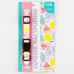 Ошейник Сочное настроение, застёжка - фастекс, 2.5 см, 40-55 см