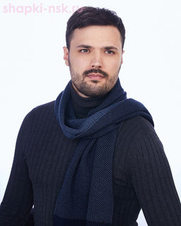 489 T Шарф мужской (30 х 135)