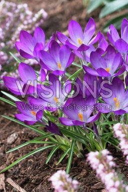 d318140214ad63c8048ac0e845db5a543vujt348jtm9wjv2dp