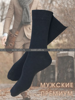 Цена за 10 пар. Легион носки мужские АССОРТИ 27  фото 9