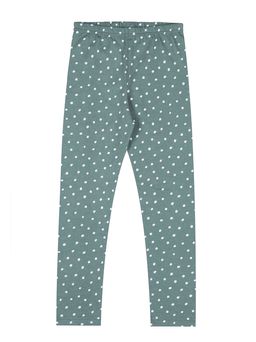 Легинсы 1ДРЛ3848001н