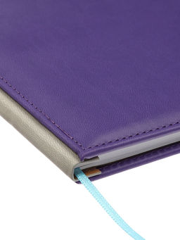 Дневник школьный 1-11 класс, лассе, обложка искуственная кожа, с резинкой для ручки