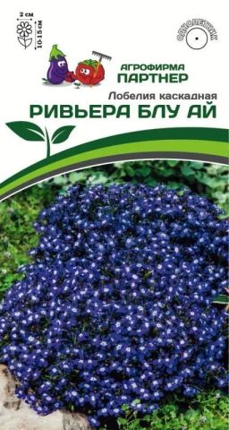 Лобелия каскадная Ривьера Блу Ай