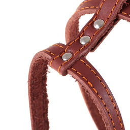 Шлейка кожаная Прогулочная, 1,5 см, ОШ35-50 см, ОГ 60-68 см, чёрный - Пижон фото 2