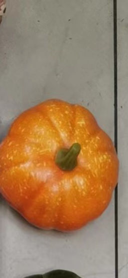 Муляж Тыква 8х9 см / G3317 /уп 160/ - Галеонтрейд фото 5