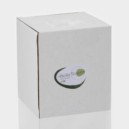 Банка для сыпучих BellaTenero «Эко», 500 мл, 10.5×8.2×10.5 см, с бамбуковой крышкой и ложкой, стекло, прозрачная