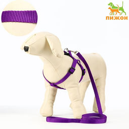 Комплект Базис, поводок 120 х 1,5 см, ОГ 32-46 см, фиолетовый