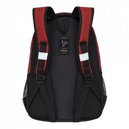 RB-054-6 Рюкзак школьный - Grizzly фото 3