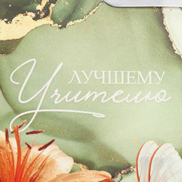 Цена за 2 шт. Пакет подарочный ламинированный, упаковка, «Лучшему учителю», M 30×26×9 см