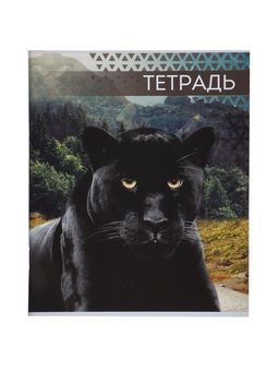 Комплект тетрадей из 4 штук, 48 листов в линейку «Дикие кошки», серые листы