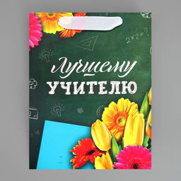 Цена за 2 шт. Пакет подарочный ламинированный, упаковка, «Лучшему Учителю», MS 18 х 23 х 10 см