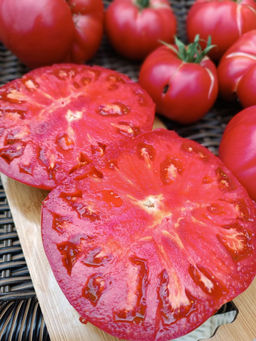 Томат СЧАСТЬЯ ПОЛНА ЧАША коллекция Татьяны Штайнерт Авторская селекция - Уральский дачник фото 3