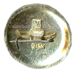 Значок Кострома Золотое кольцо