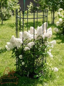 Опора для садовых растений из металла 58-924B - Фабрика интерьерной ковки фото 5