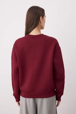 TRENDYOLMILLA Tas Animal Nak?sl? Regular/Normal Kal?p Kal?n Ici Polarl? Orme Sweatshirt TWOAW24SW00196  фото 20