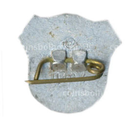 Значок Рига