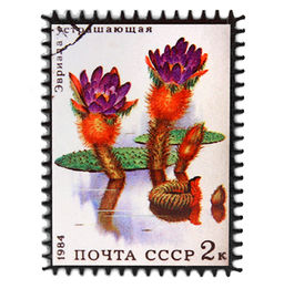 Магнит керамический 6х8см Почтовая марка Кувшинка (Китай)