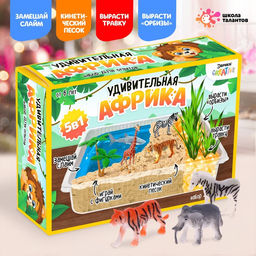 Набор для опытов Удивительная Африка, 5 опытов в наборе