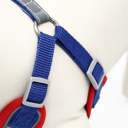 Комплект Sport+, L, поводок 120 x 1,5 см, ОШ 49-56 см, ОГ 56-68 см, вес животного 20-28 кг, синий 9 - Пижон фото 7