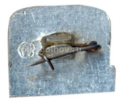 Значок Коломенское