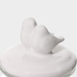 Банка для сыпучих Доляна Голубки, 500 мл, 11?17 см, с керамической крышкой, стекло, прозрачная