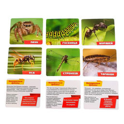 Набор для исследований Юный натуралист - Эврики фото 5