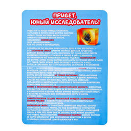 Набор для опытов «Мир природы», 2 фигурки, с эпоксидной смолой